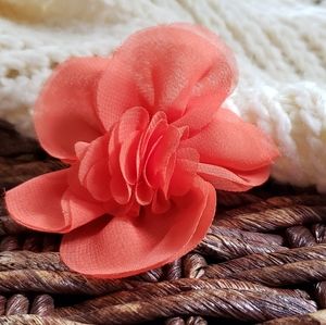Gorgeous Peach Colored Hairclip/Pin